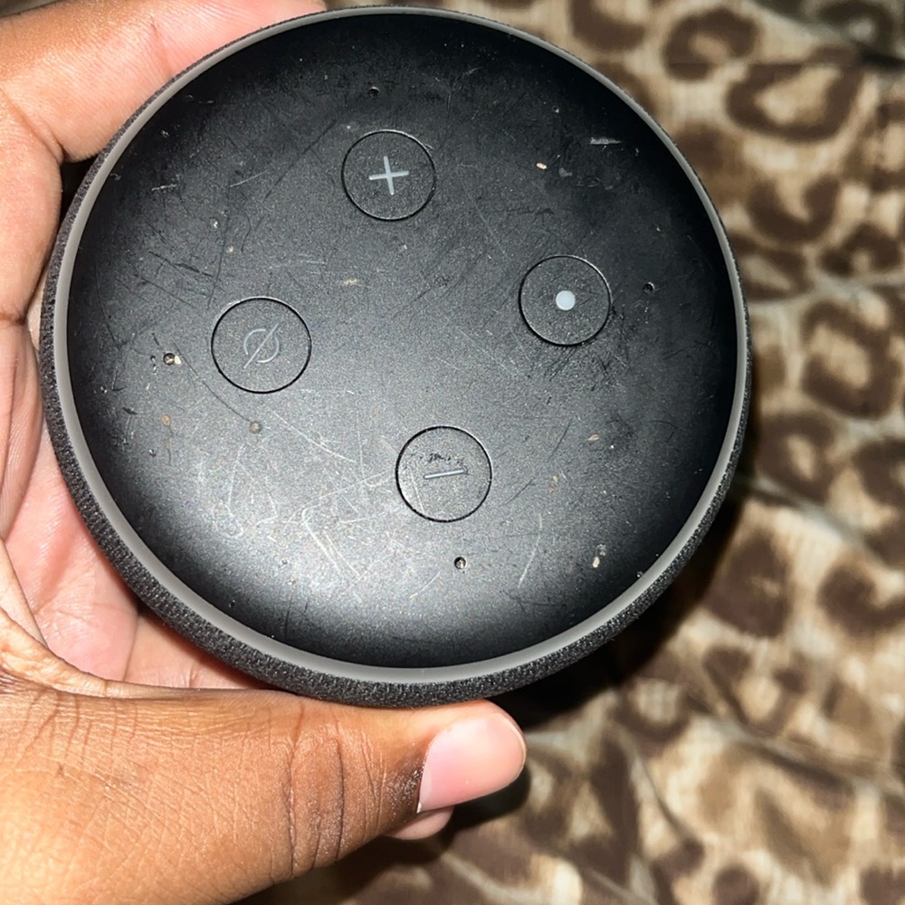 Amazon Alexa great decision